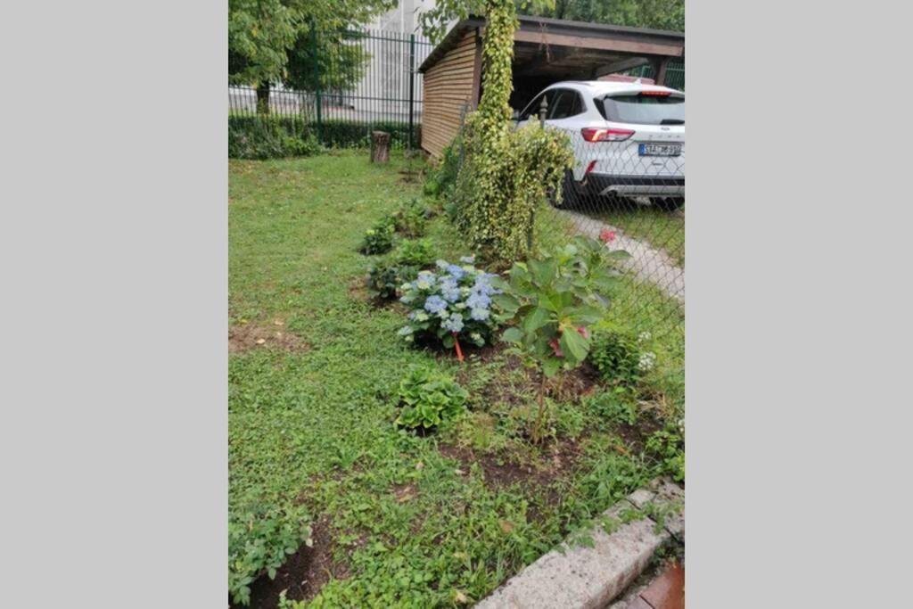 Villa Hortensia Ljubljana Eksteriør billede